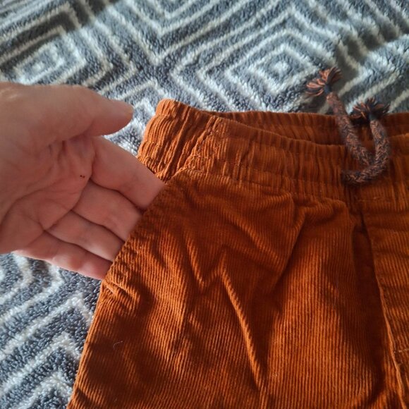 Okie Dokie Toddler Velvet Pants Sz 5T Elastic Waist Cozy - Picture 5 of 5